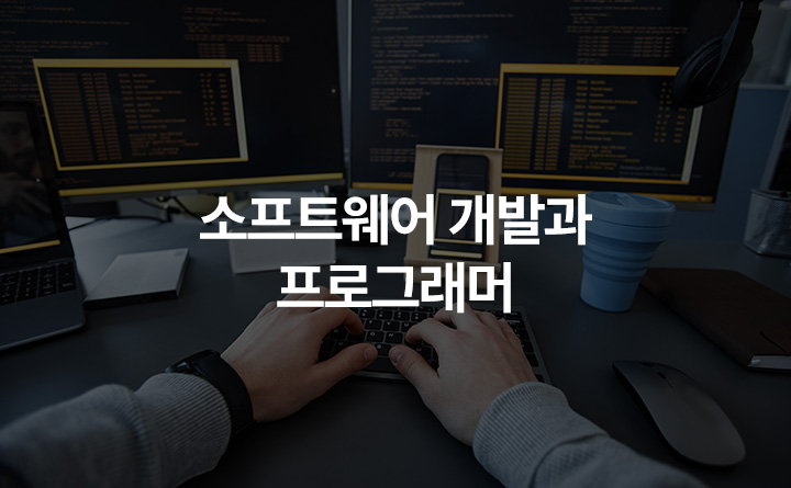 소프트웨어 개발과 프로그래머
