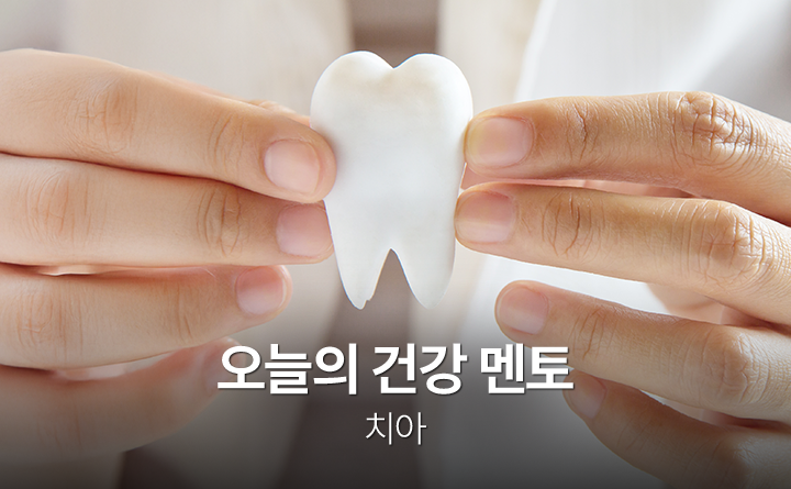 오늘의 건강 멘토 치아